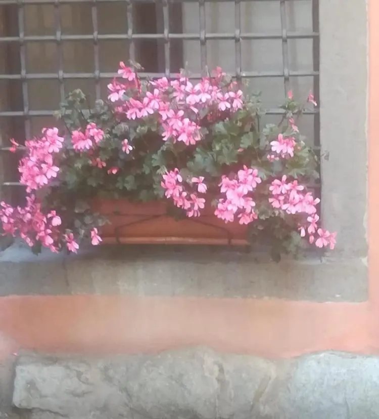 Casa Mirella Lägenhet Lovere Italien